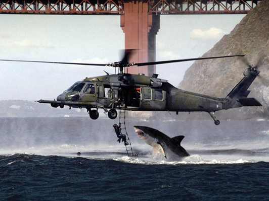 shark_attack